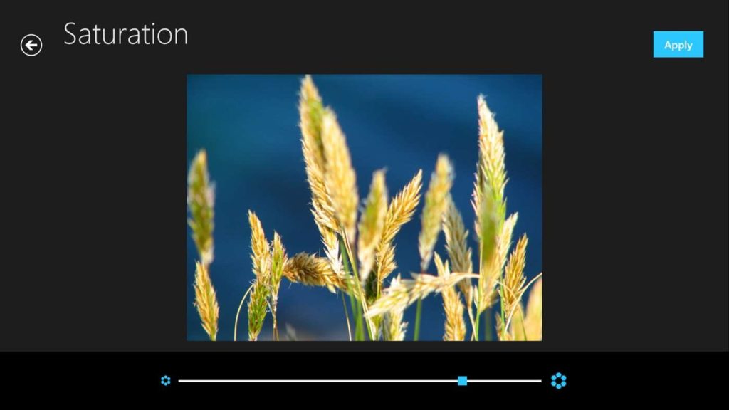 photo editor for pc