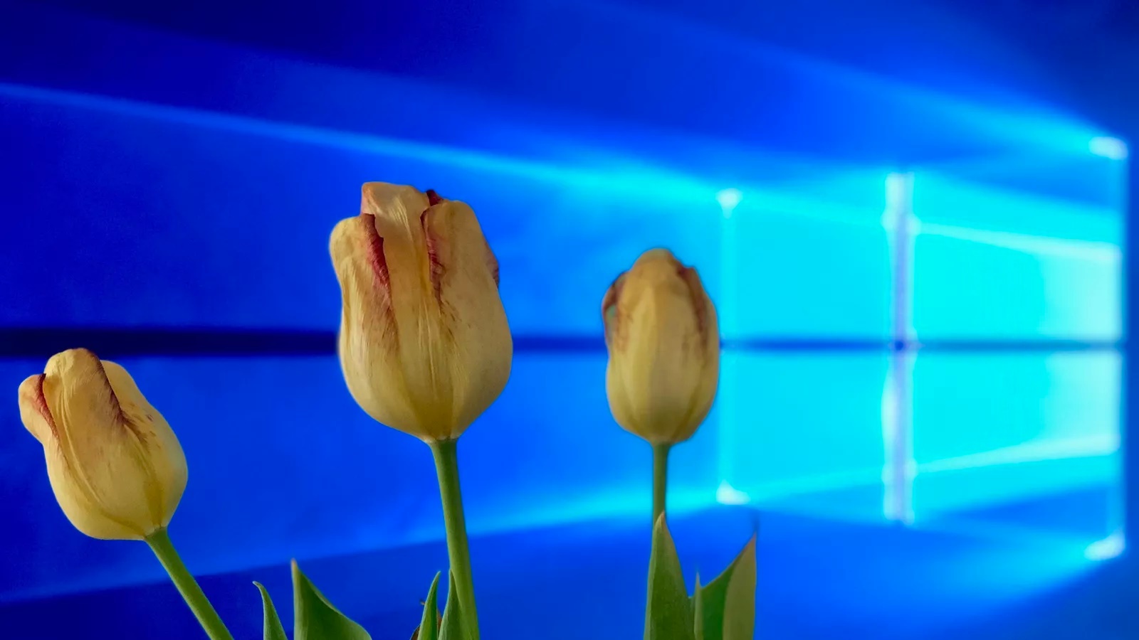 Download Windows 10 Spring Creators Update